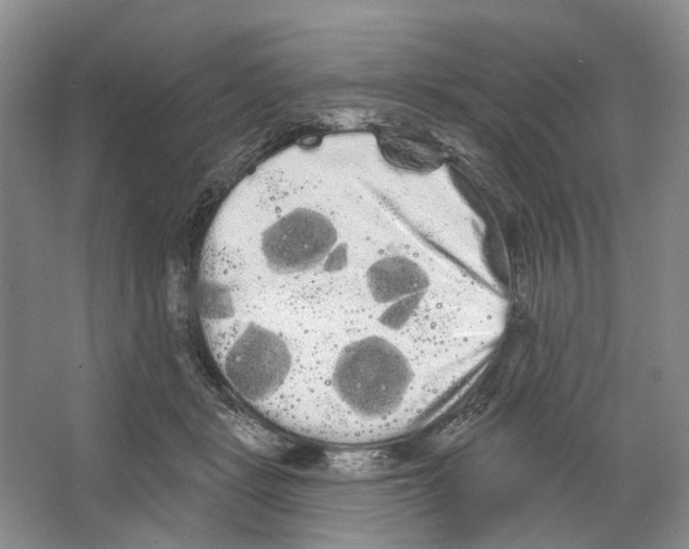 X0000066120461200603311540