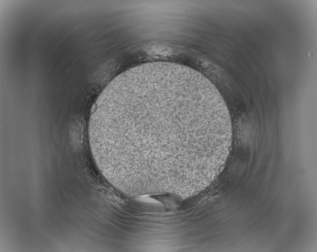 X0000066120463200603311540