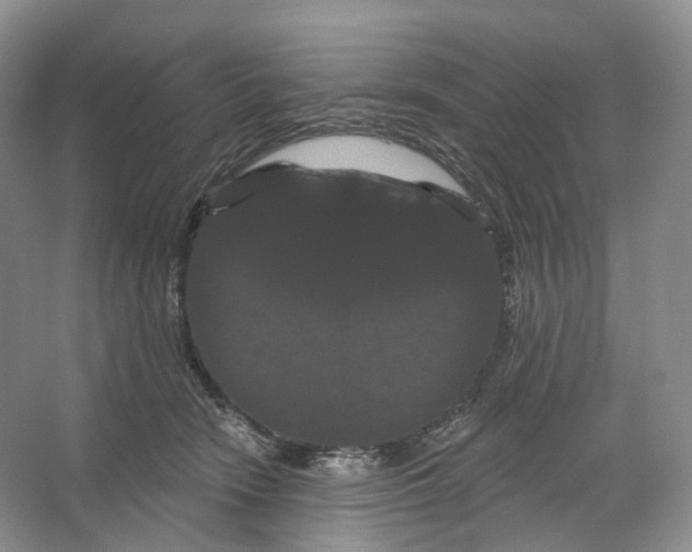 X0000066120466200603311540