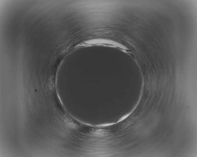 X0000066120467200603311540