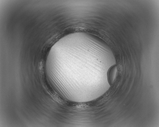 X0000066120468200603311540