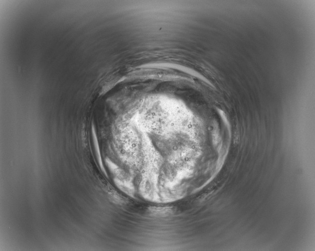 X0000066120469200603311540