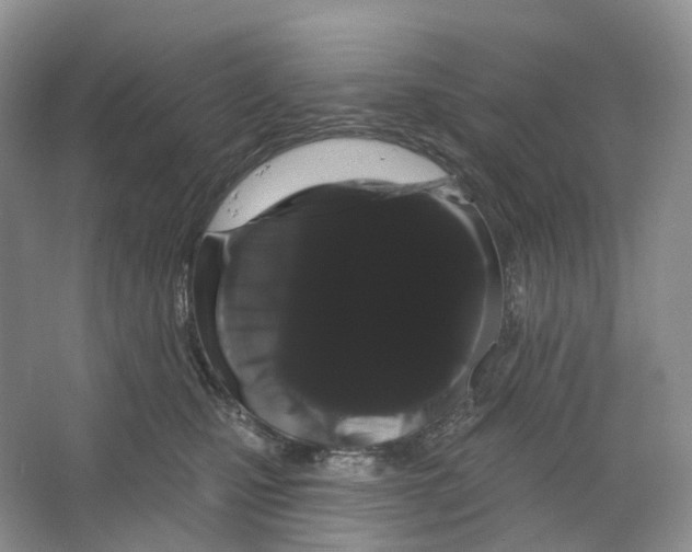 X0000066120471200603311540