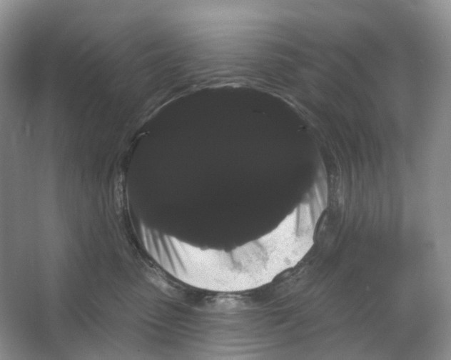 X0000066120475200603311540