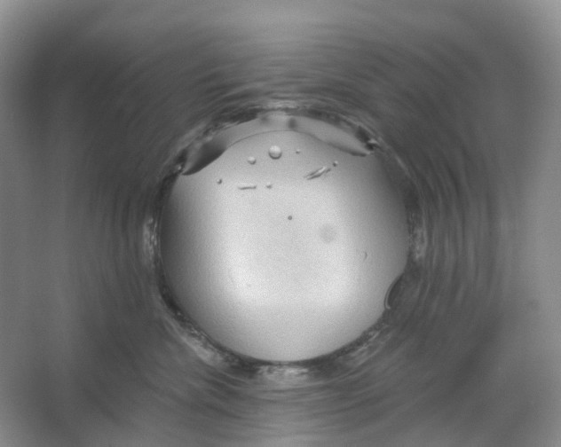 X0000066120476200603311540