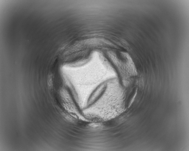 X0000066120477200603311540