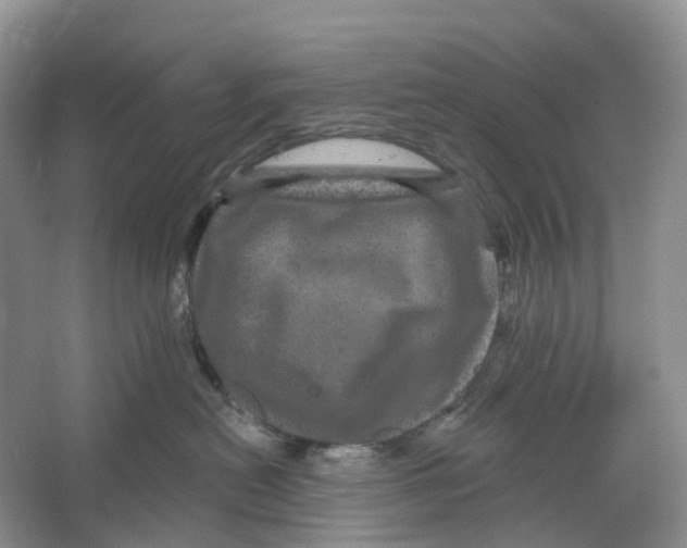 X0000066120478200603311540