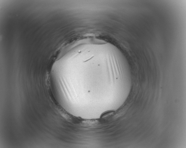 X0000066120480200603311540