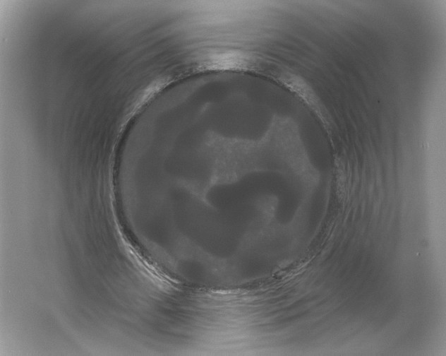 X0000066120482200603311540