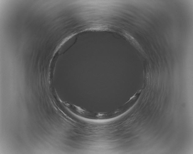 X0000066120484200603311539