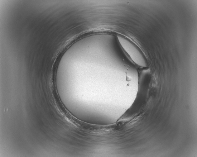 X0000066120485200603311539