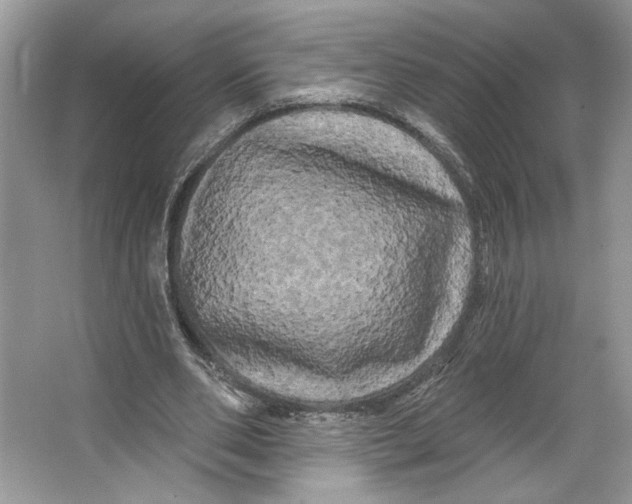 X0000066120486200603311539