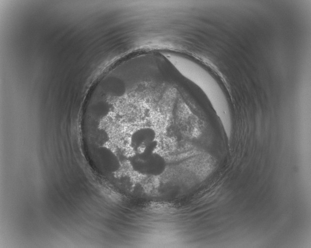 X0000066120487200603311539