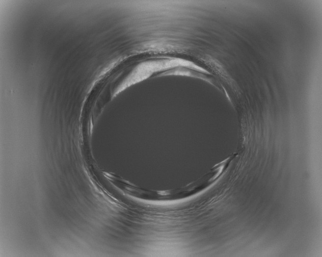 X0000066120488200603311539