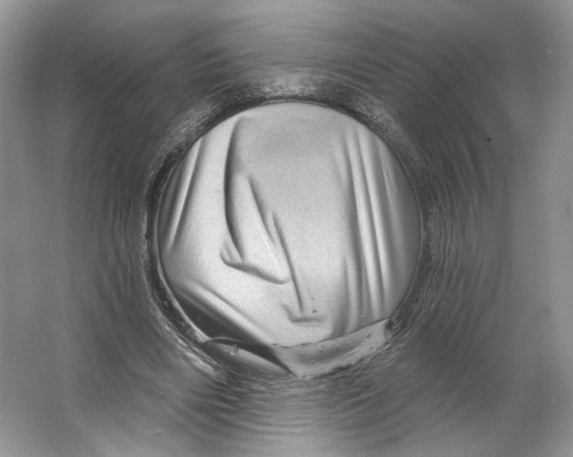 X0000066120490200603311539