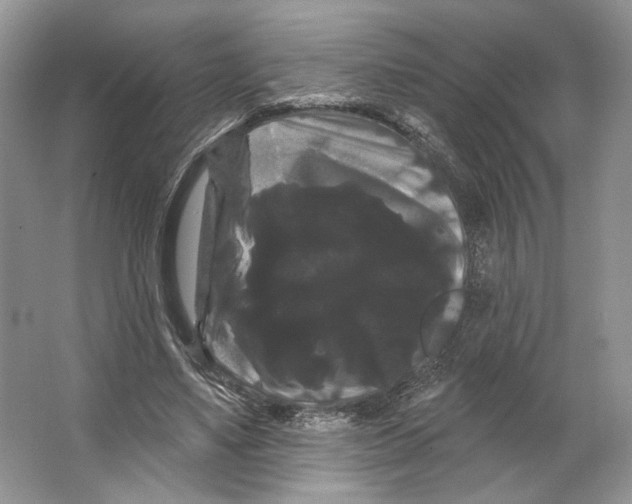 X0000066120491200603311539