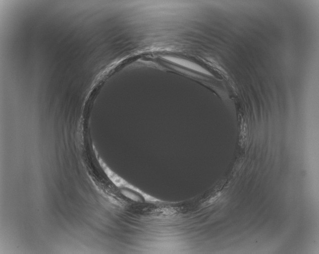 X0000066120492200603311539