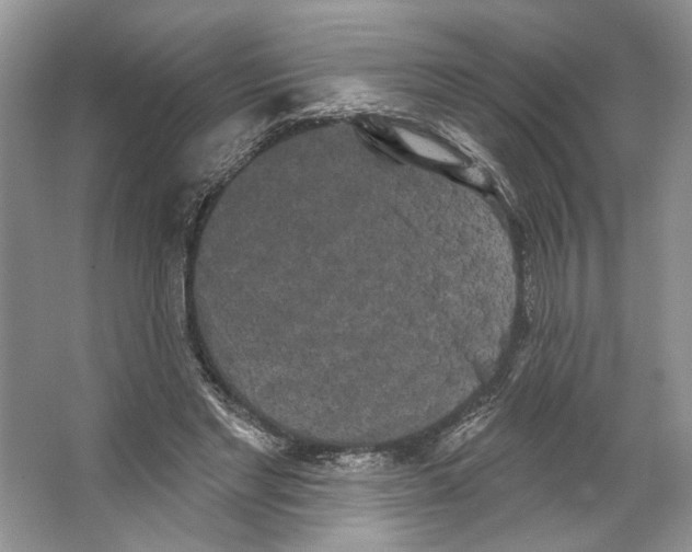 X0000066120493200603311539