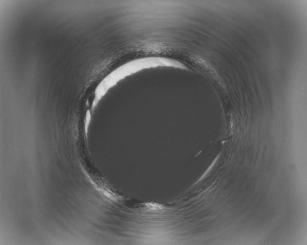 X0000066120496200603311539