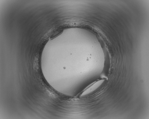 X0000066120497200603311539