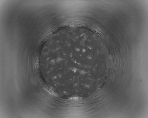 X0000066120499200603311539