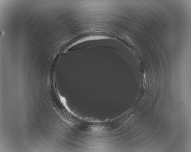 X0000066120500200603311539