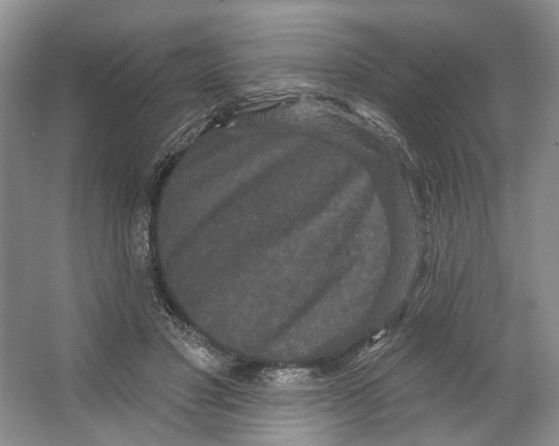 X0000066120501200603311539