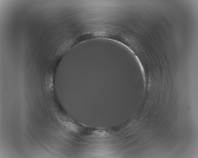 X0000066120502200603311539