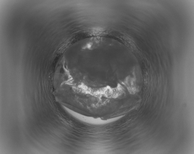 X0000066120503200603311539