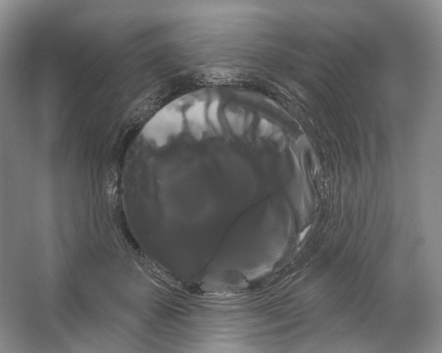 X0000066120507200603311539