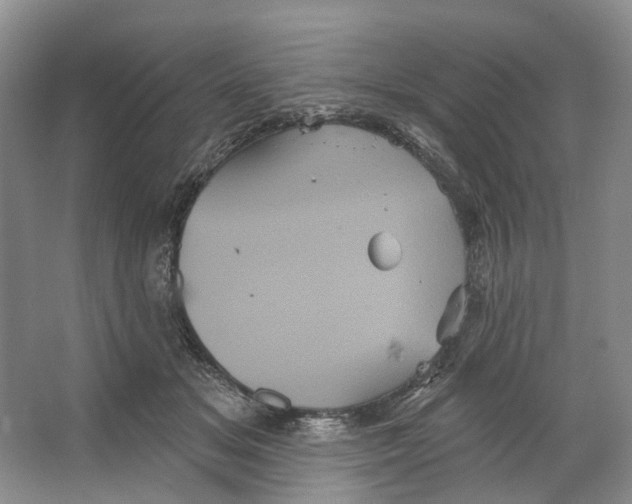 X0000066120509200603311539