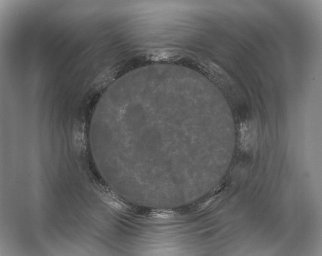 X0000066120510200603311539