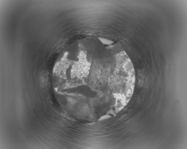 X0000066120511200603311539