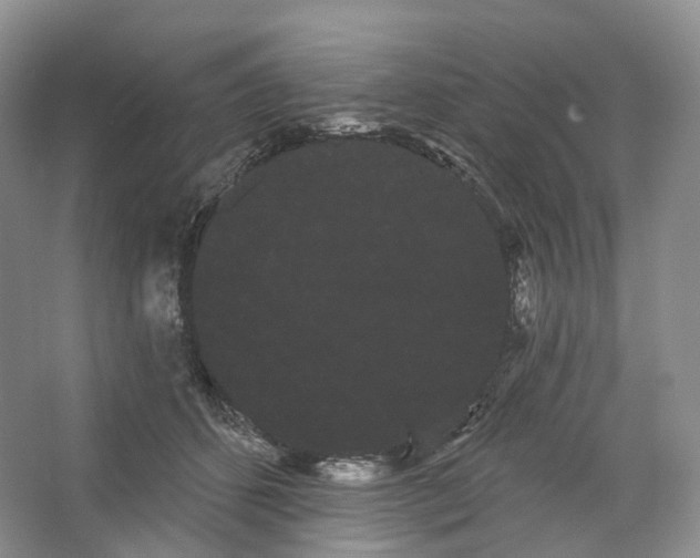 X0000066120512200603311539