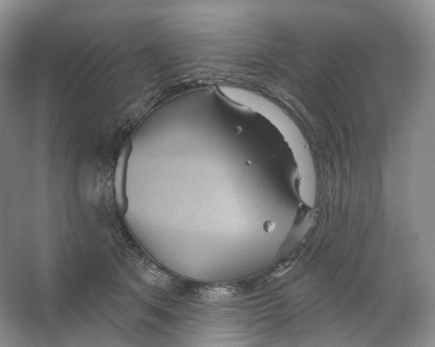 X0000066120513200603311539