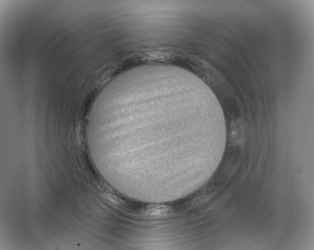 X0000066120514200603311539