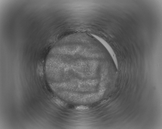 X0000066120515200603311539