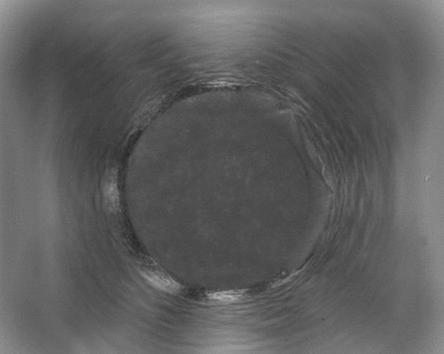 X0000066120516200603311539