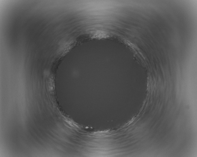 X0000066120517200603311539