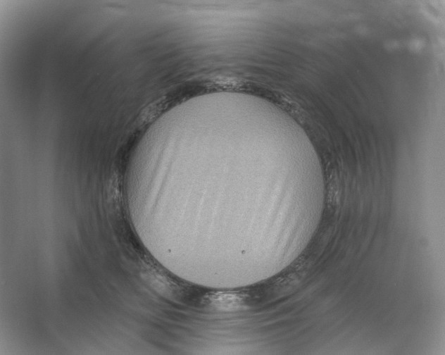 X0000066120518200603311539