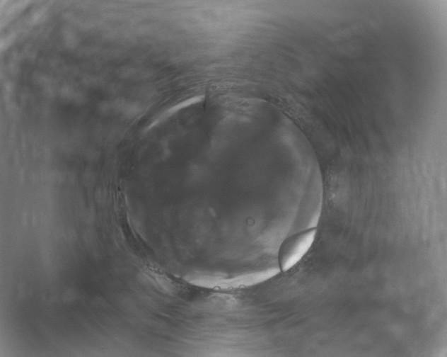 X0000066120519200603311539