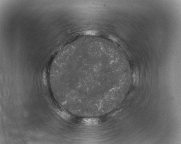 X0000066120520200603311539