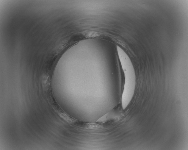 X0000066120521200603311539