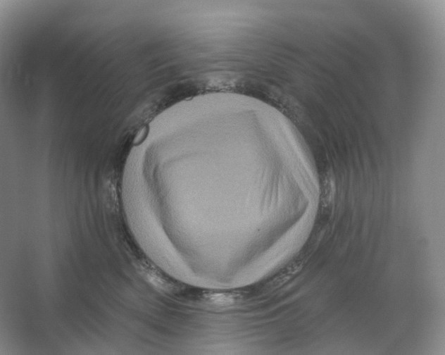 X0000066120522200603311539