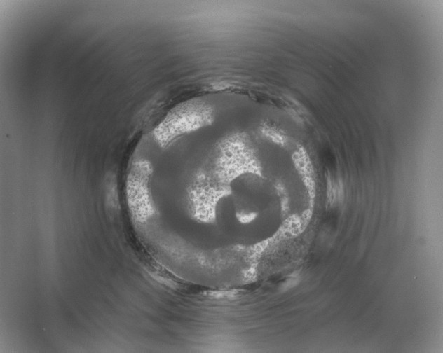 X0000066120524200603311539