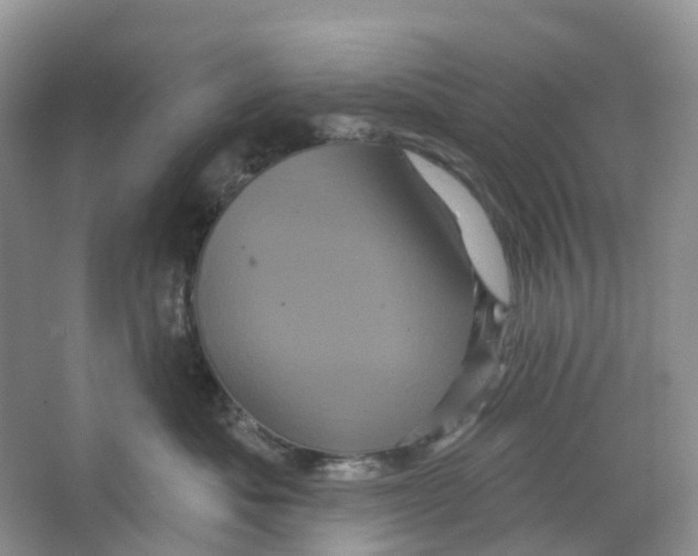 X0000066120525200603311539