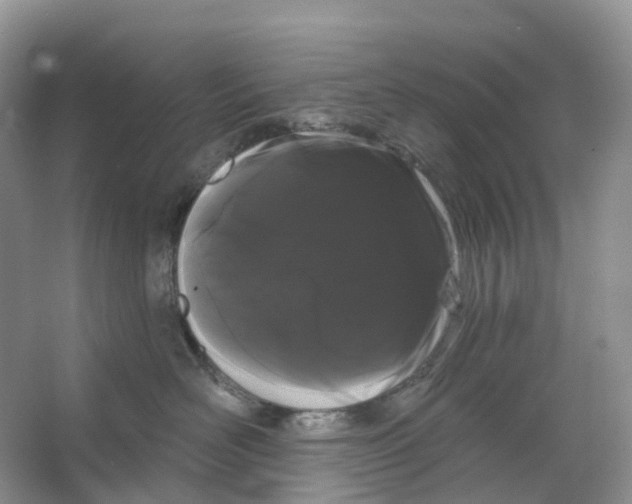 X0000066120526200603311539