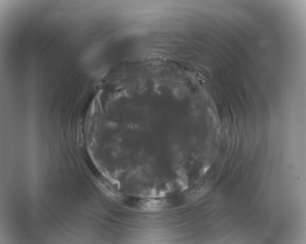 X0000066120527200603311539