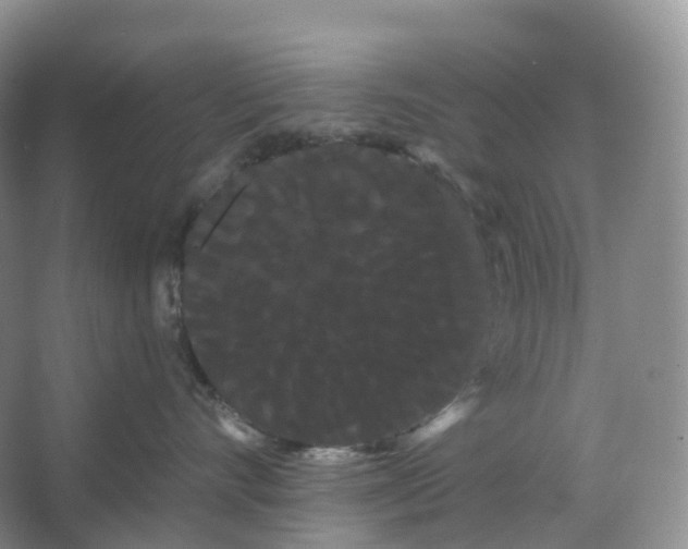 X0000066120528200603311539