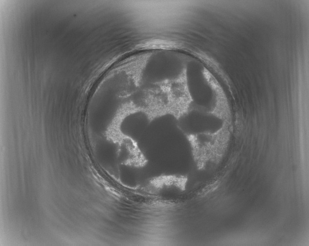 X0000066120529200603311538